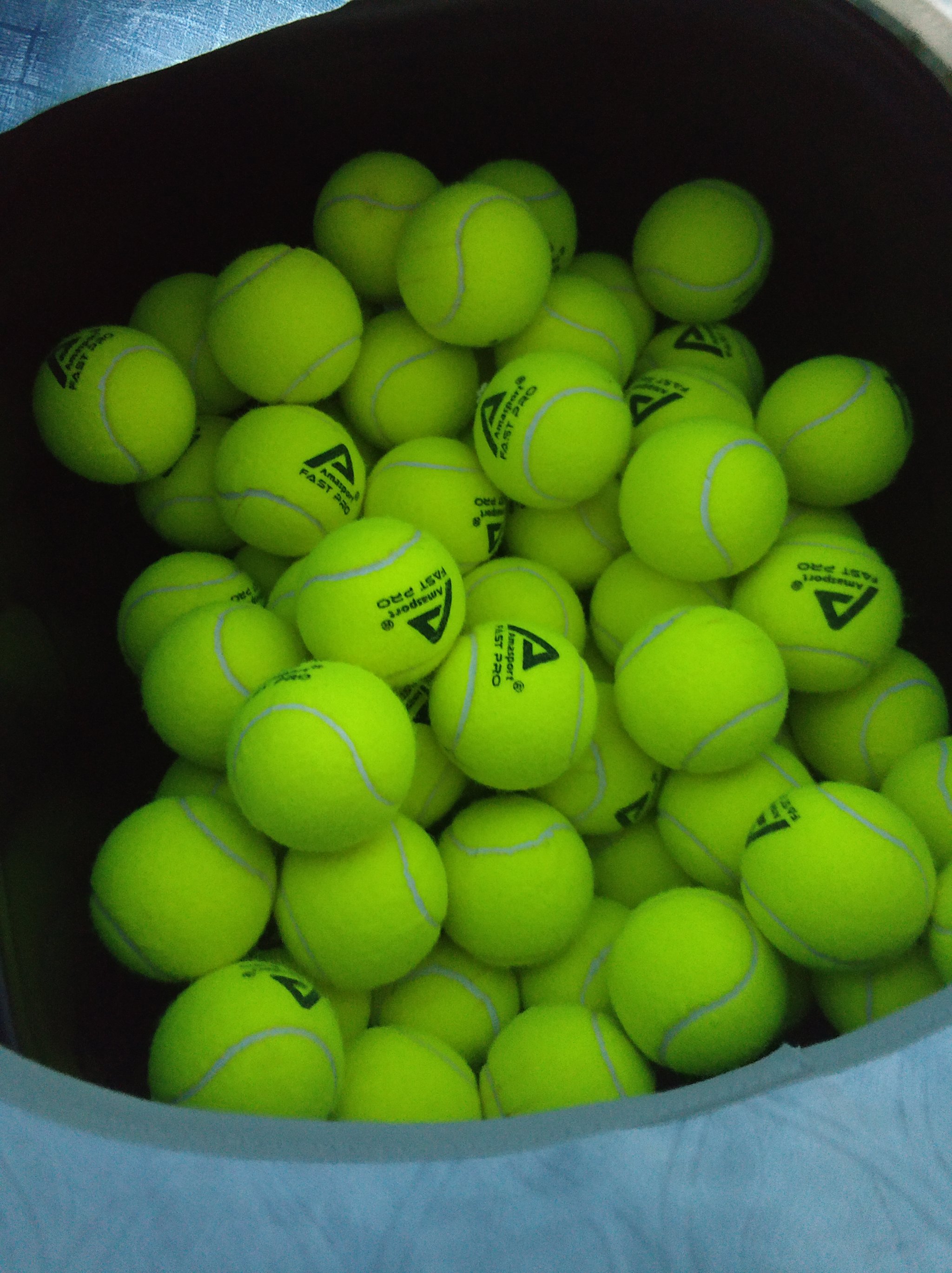 的训练场馆 的训练场馆