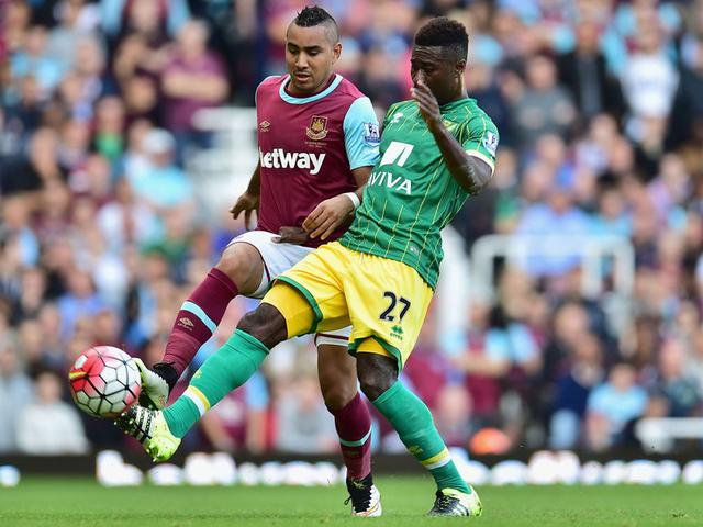 的耐心观察 的耐心观察