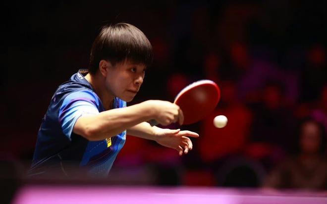 类似情况 类似情况